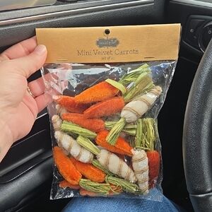 Mud Pie Orange and Green Velvet Carrot Set
